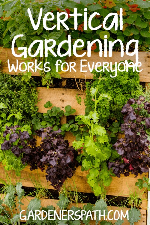 如何让一个垂直花园GardenersPath.com |