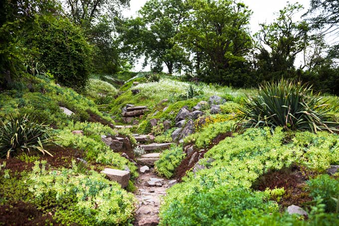 在园林绿化中使用自然环境| GardenersPath.com