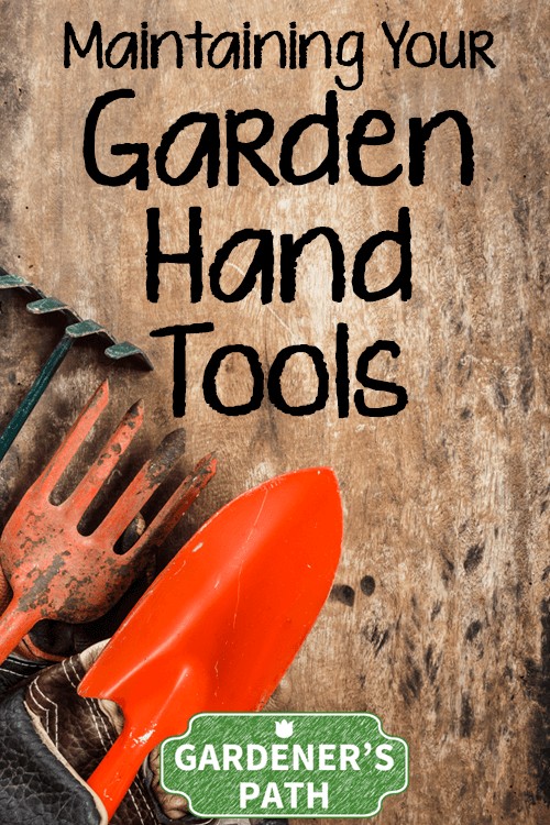 你在使用旧的铲子或锄头(或者更有可能是崭新的铲子或锄头)时有困难吗?如果是这样，缺乏维护可能是问题所在。现在阅读你需要做什么来正确维护你的园艺工具。