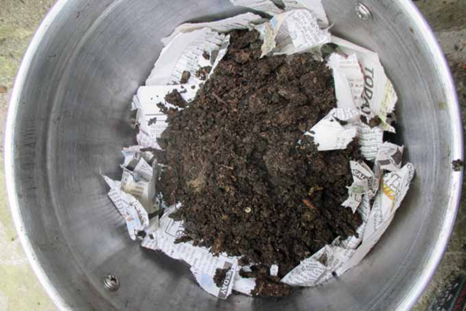 一个近距离，自上而下的图片蚓堆肥容器与碳内衬和土壤添加