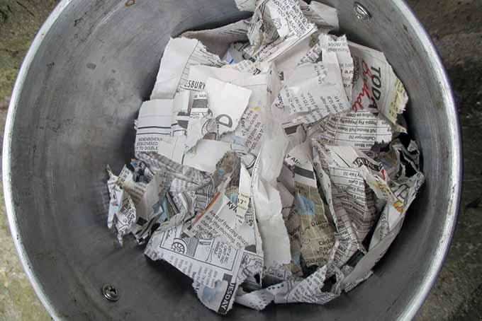 一个小的金属蚯蚓堆肥容器的自上而下的图片，撕下报纸添加碳。