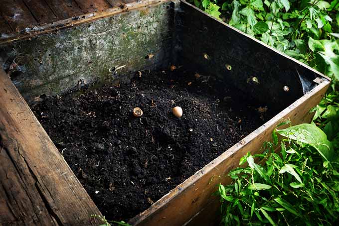一个巨大的木质蚯蚓堆肥容器放置在花园里，一半装着深色的肥沃土壤。