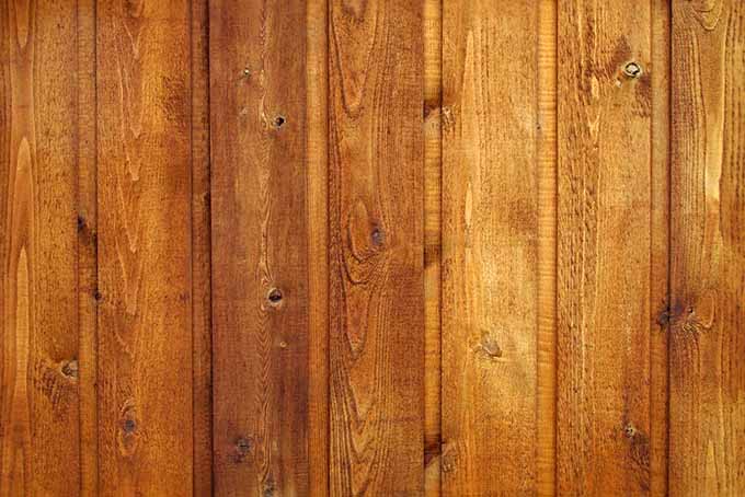 一个近距离的雪松木墙已经染色，清楚地显示出木材的颗粒。