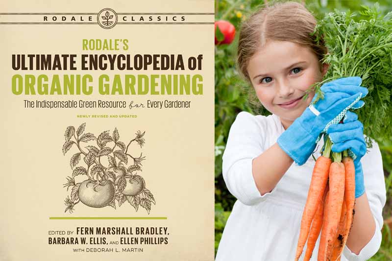 两张照片的拼贴，包括罗代尔的有机园艺终极百科全书的封面和一个小女孩拿着有机种植的新鲜收获的胡萝卜在花园设置。