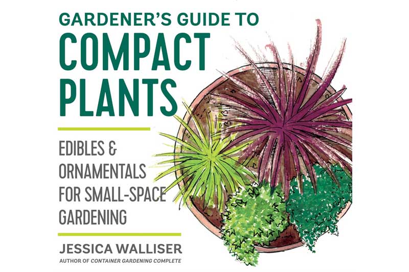《紧凑植物园艺指南:小空间园艺的食用和观赏植物》的书皮。BOB体育APP苹果下载