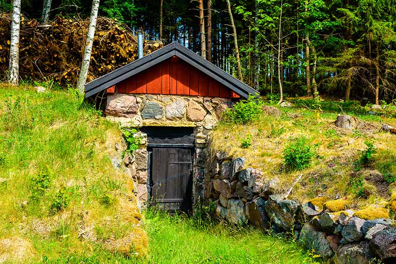 一个小的石头建筑，木屋顶嵌在地下，两边的石头挡土墙通向入口的门。这个地窖有一个深色的木门，在明亮的阳光下被青草和植被包围。背景是一片松林。