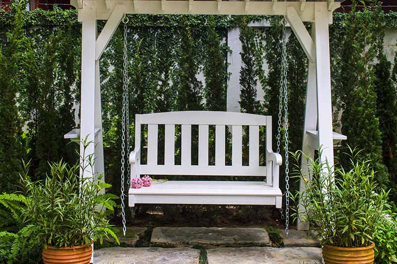白色木制长椅用链子挂在室外凉棚上，背景是常春藤覆盖的墙壁，两侧是盆栽。BOB体育APP苹果下载