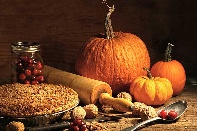 一个秋天厨房场景的特写，一个派，一个擀面杖，没有壳的核桃，三个南瓜在乡村木制表面的黑暗背景上。