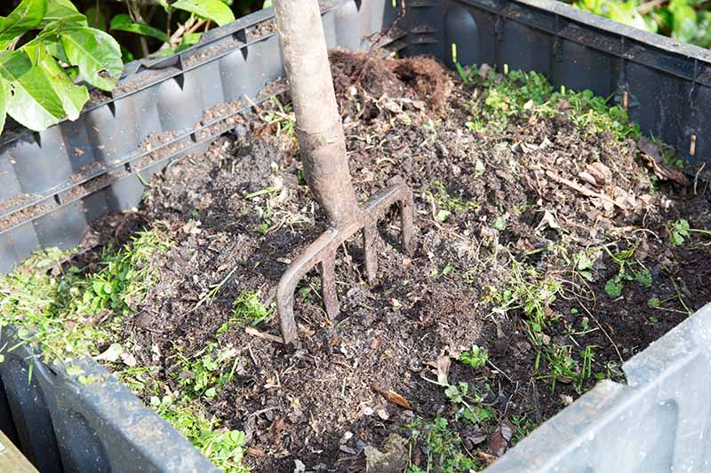 在明亮的阳光下，一把花园叉子插在后院的灰色塑料堆肥箱里，里面装着花园垃圾。