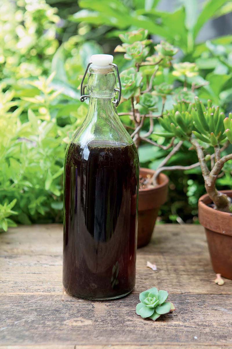 一个近距离垂直的图片，一个玻璃瓶的黑色液体设置在一个木制表面上，背景是软焦点的陶罐。