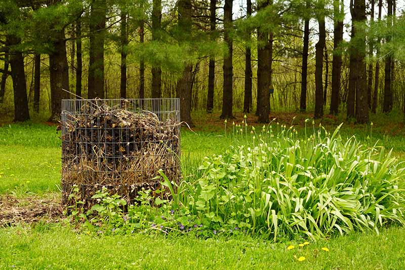 一个花园场景的水平图像，一个充满秋叶的铁丝网围栏，背景中有树的软焦点。