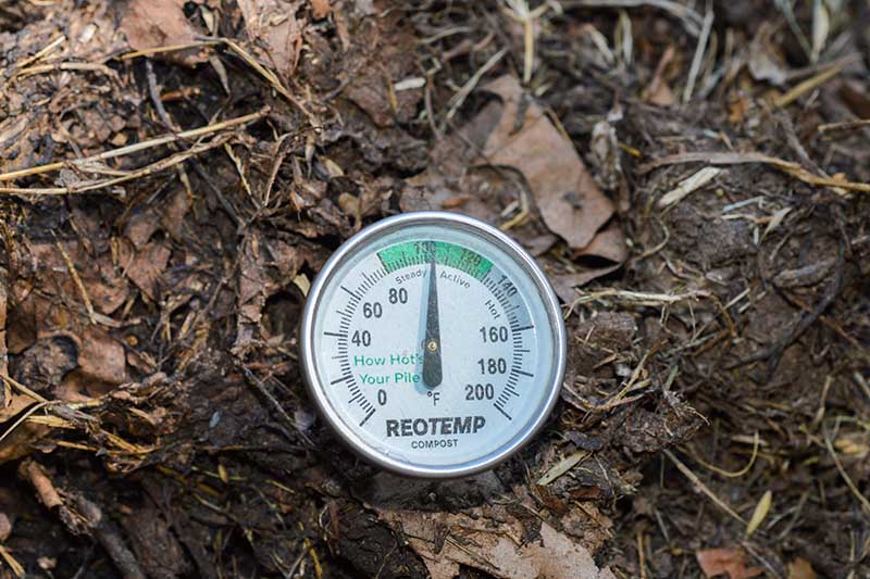 一个近距离水平图像的温度计在一个家庭堆肥监测温度。