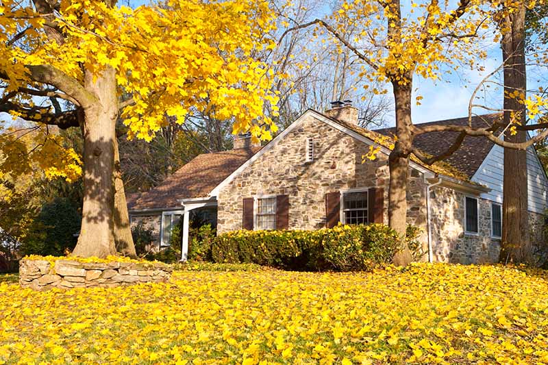 在明亮的阳光下，一所房子在秋天的水平图像，黄色的树叶覆盖了草坪。