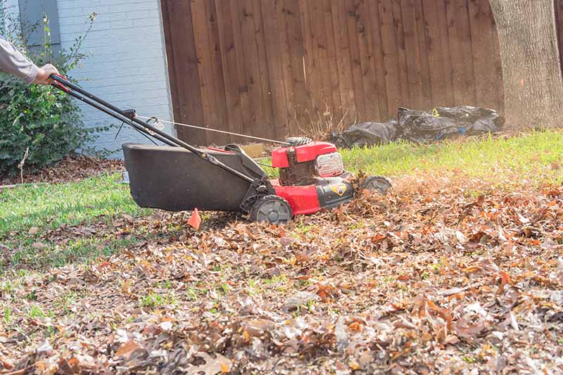 一个割草机在秋天的花园里撕碎落叶的水平图像，背景是一个软焦点的木栅栏。