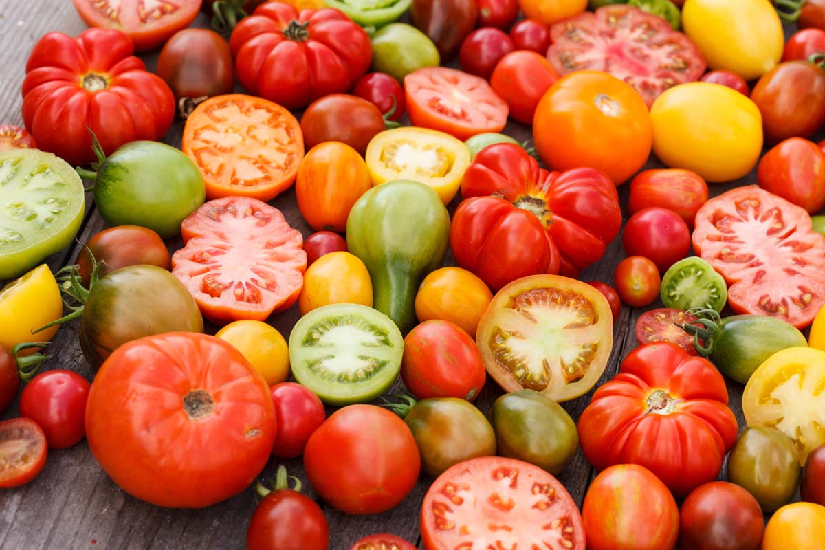 西红柿的近距离水平图像在不同的形状,颜色,大小,一些切片和其他人,在木制的表面上。