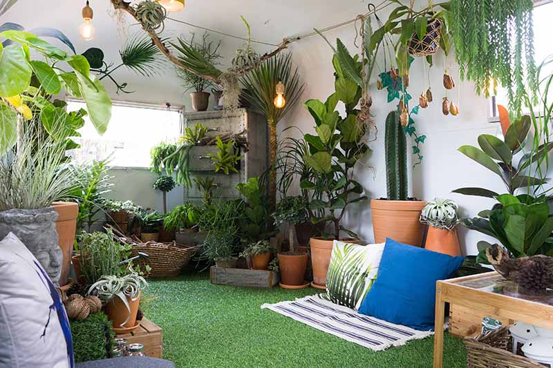 水平的室内空间装饰着各种各样的植物,人工草地上和缓冲垫在地板上。BOB体育APP苹果下载