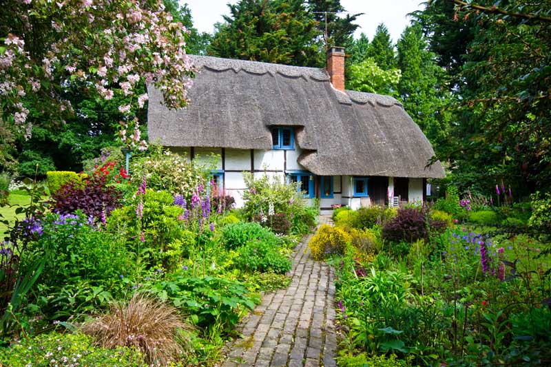 带中心小径的草屋花园通往带有茅草屋顶的乡村风格都铎式住宅。