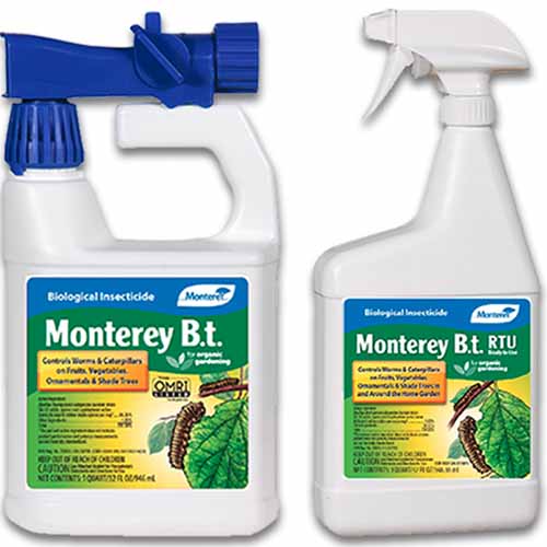 两瓶蒙特利Bt花园杀虫剂被隔离在白色背景上的近距离正方形图像。