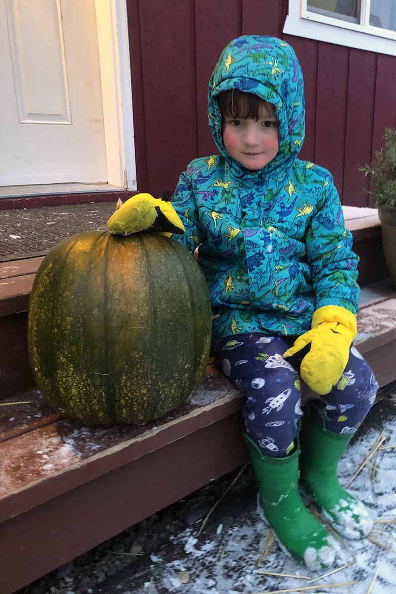 一个孩子坐在家门口的台阶上，旁边放着一个巨大的绿色南瓜。