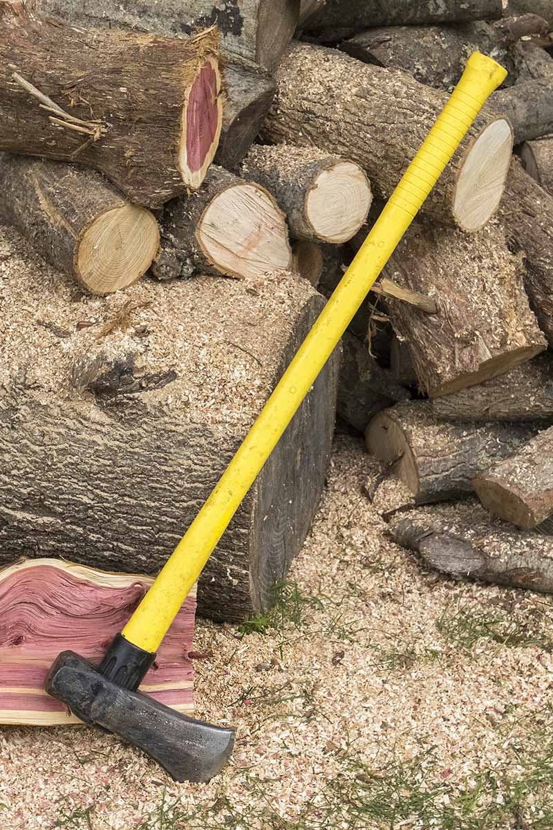 关闭垂直的锤斧长黄处理设置在地上一堆碎木在后台。