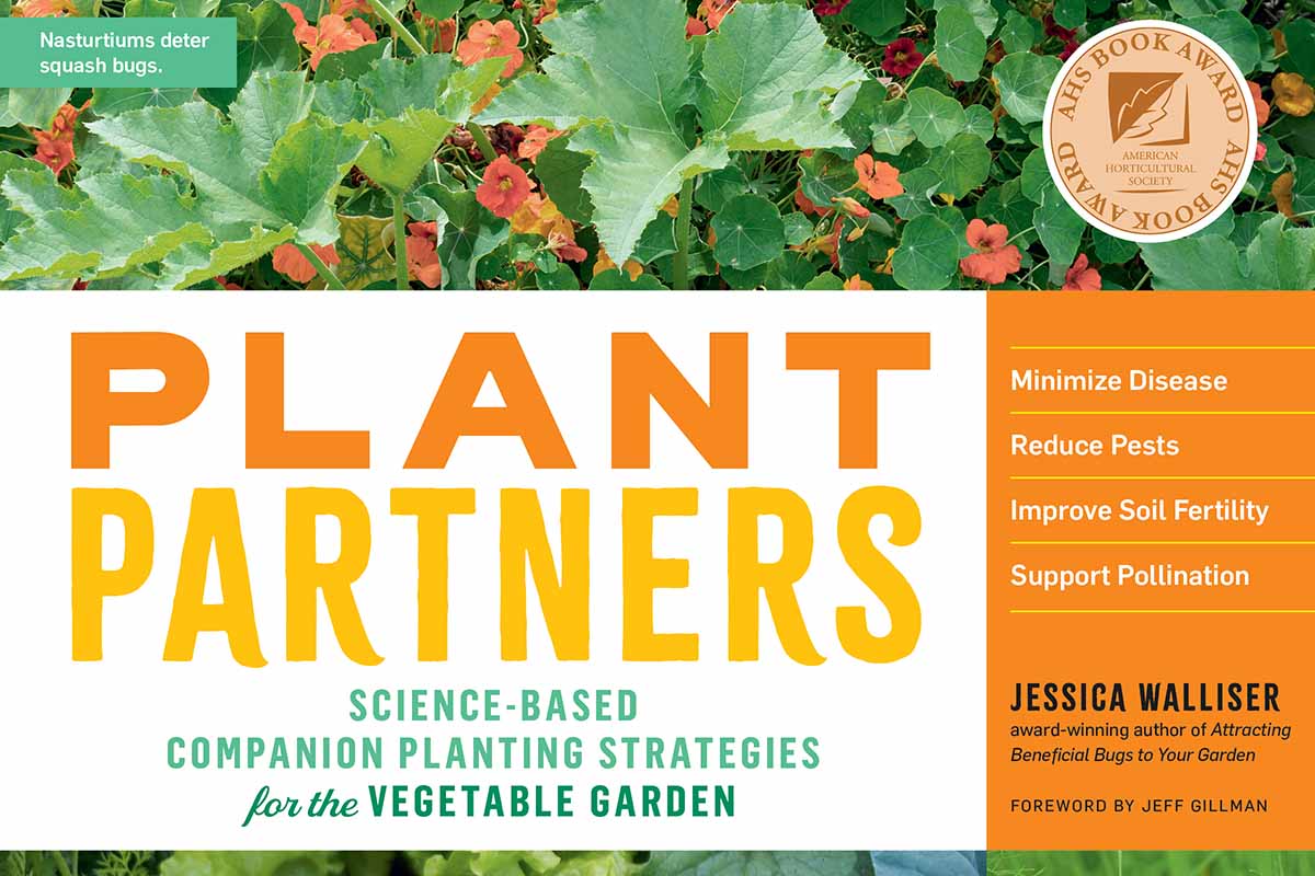 杰西卡·沃里瑟所著的《植物伙伴》一书封面的近距离水平图像。