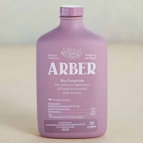 在软焦点背景上的一瓶Arber生物杀菌剂的近距离正方形图像。