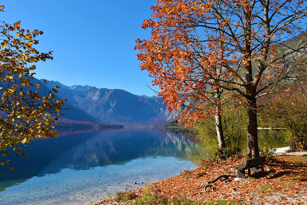 一个美丽的湖泊与挪威枫树的水平图像与壮丽的秋天描绘在蓝天背景。