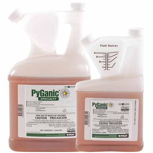 白色背景上分离的两瓶PyGanic专用杀虫剂的特写。