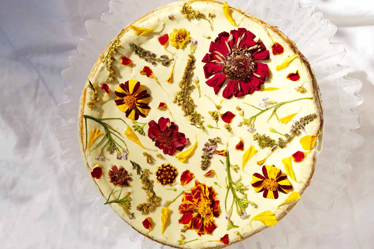 一个用可食用花卉装饰的奶酪蛋糕的近距离水平图像。