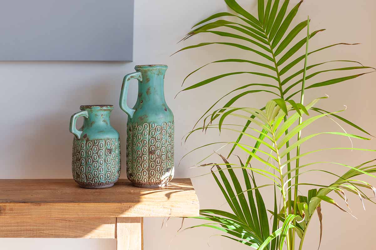 一个近距离的水平图像，一个高大的室内植物生长在一个木制餐具柜旁边，有两个浅蓝色的装饰花瓶。
