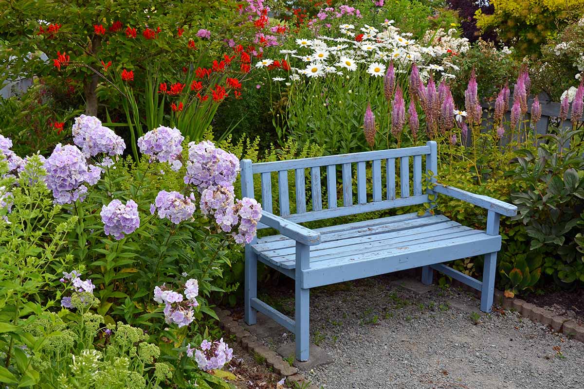 一个水平图像风化的蓝色花园长凳在花园周围的鲜花。