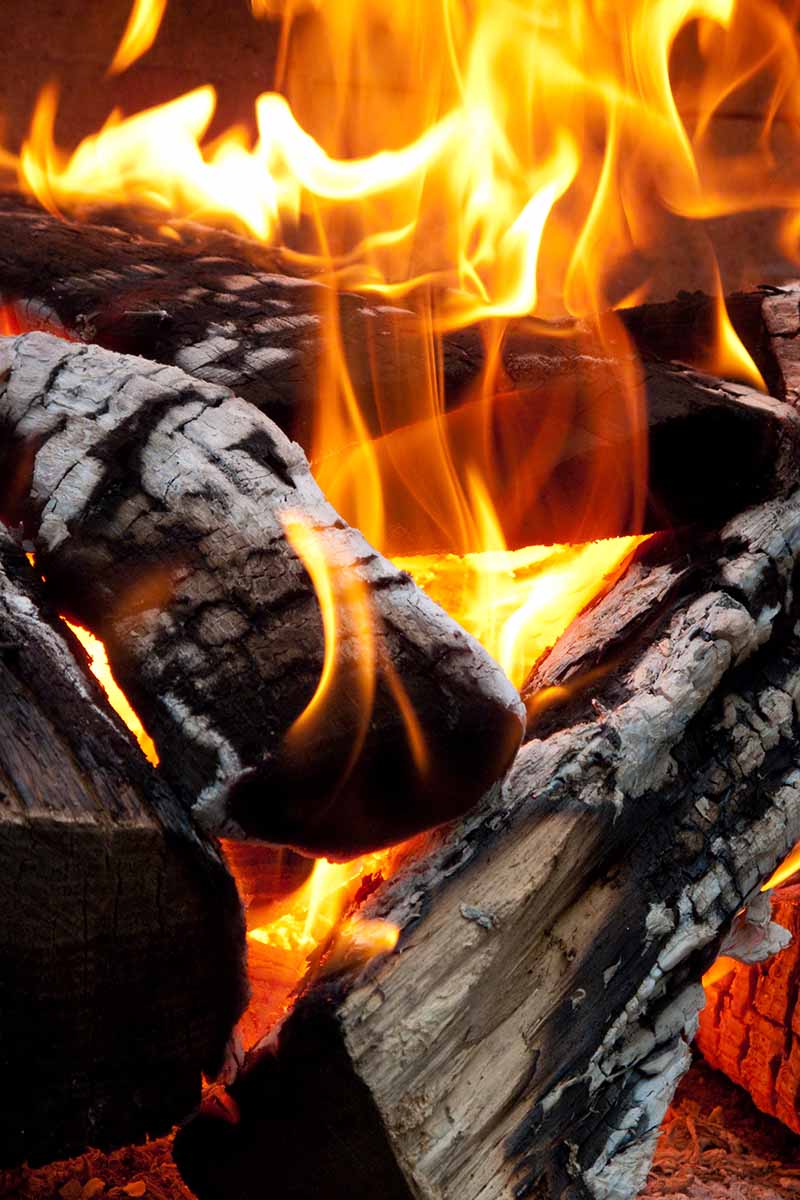 火焰和原木在火上燃烧的垂直图像。