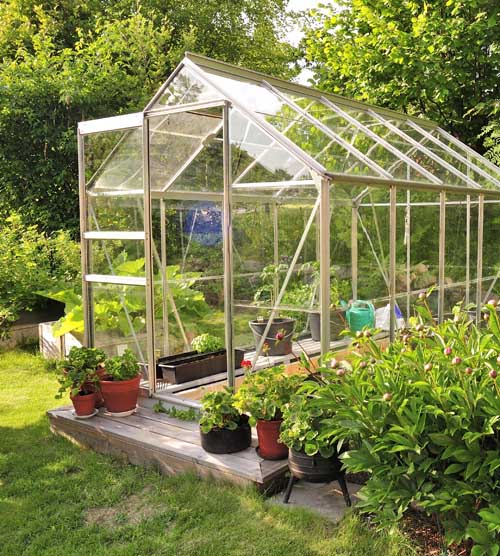温室包围着一个小小的后院菜园。