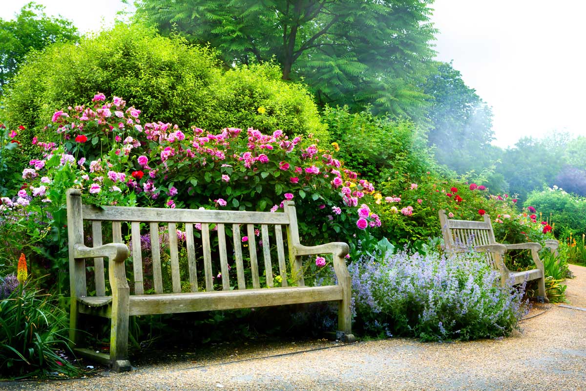 两个木制长椅一个田园诗般的花园设置。