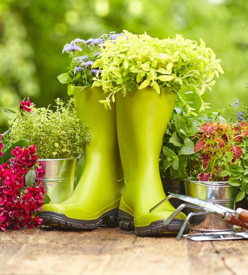 一副神气活现的石灰绿靴子和园艺手工具。